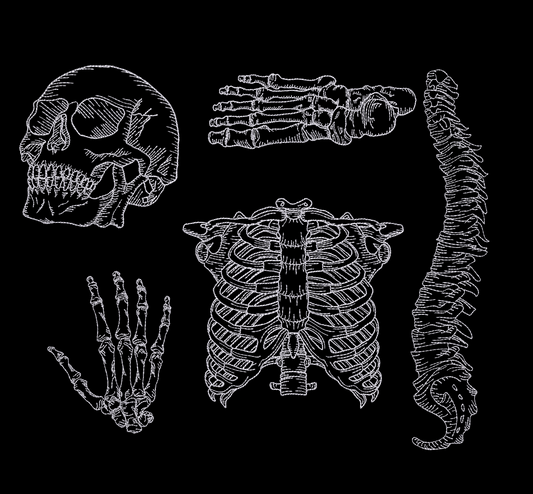 Skeletal Bundle